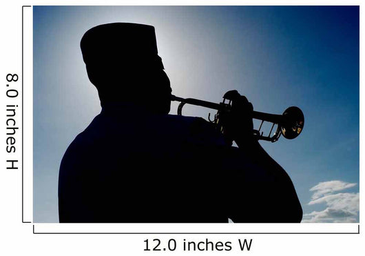 Sailor Playing Taps Wall Decal