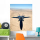 F A-18a Hornet Flies Wall Decal