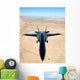 F A-18a Hornet Flies Wall Decal