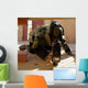 Eod Member Places X-ray Wall Decal