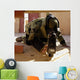 Eod Member Places X-ray Wall Decal