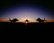 Silhouette F-22 Raptor Wall Decal Design 2