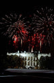Fireworks Explode over White Wall Decal