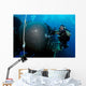 Divers Prepare to Launch Wall Decal