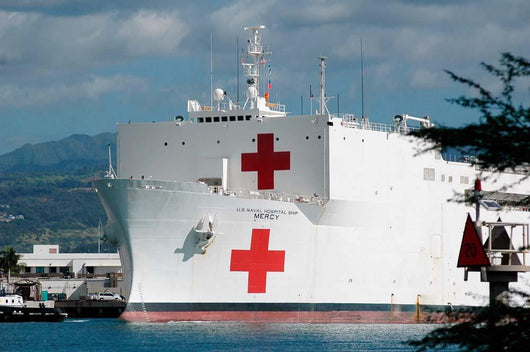Military Sealift Command Hospital Wall Decal Design 2