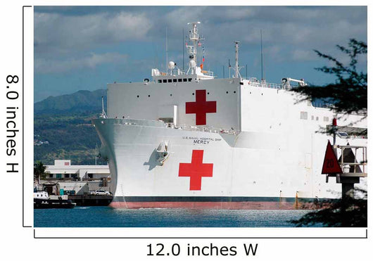 Military Sealift Command Hospital Wall Decal Design 2