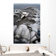 Sailors Move E-2c Hawkeye Wall Decal