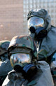 Soldiers Re-locate to Bunker Wall Decal