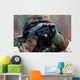 Airman Uses Range Finder Wall Decal