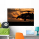 Hh-60g Pave Hawk Helicopter Wall Decal