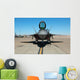 F A-22 Raptor Sits Wall Decal
