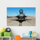 F A-22 Raptor Sits Wall Decal