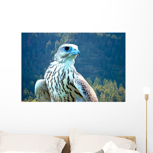 Yeti Hybrid White Gyrfalcon Wall Decal