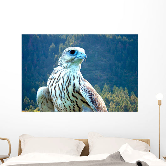 Yeti Hybrid White Gyrfalcon Wall Decal
