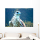 Yeti Hybrid White Gyrfalcon Wall Decal