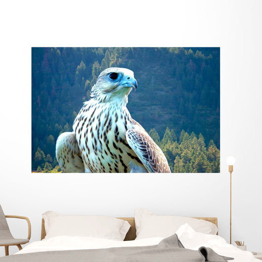 Yeti Hybrid White Gyrfalcon Wall Decal