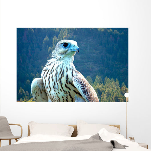 Yeti Hybrid White Gyrfalcon Wall Decal