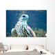 Yeti Hybrid White Gyrfalcon Wall Decal