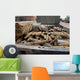 Pieces Weapons and Ammunition Wall Decal