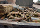 Pieces Weapons and Ammunition Wall Decal