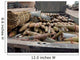 Pieces Weapons and Ammunition Wall Decal