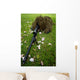 Soldier Practices Sniper Tactics Wall Decal