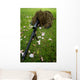 Soldier Practices Sniper Tactics Wall Decal