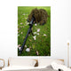 Soldier Practices Sniper Tactics Wall Decal