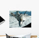 F-22a Raptor Refuels with Wall Decal