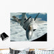 F-22a Raptor Refuels with Wall Decal