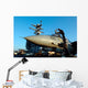 Sailor Cleans Canopy F-14d Wall Decal