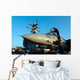 Sailor Cleans Canopy F-14d Wall Decal