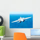 F-14d Tomcat Taking off Wall Decal