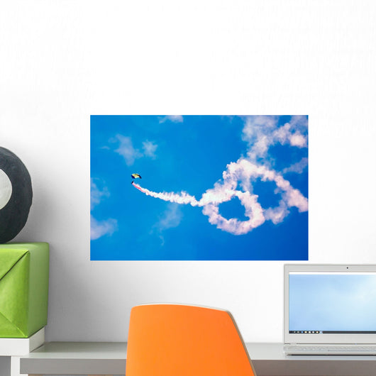 Us Navy Parachute Team Wall Decal