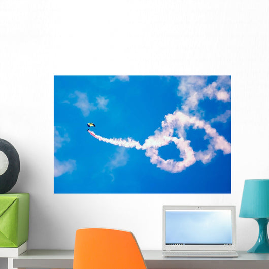Us Navy Parachute Team Wall Decal