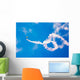 Us Navy Parachute Team Wall Decal