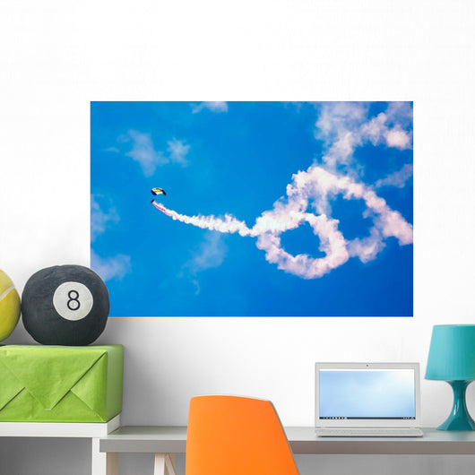 Us Navy Parachute Team Wall Decal