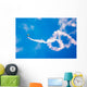 Us Navy Parachute Team Wall Decal