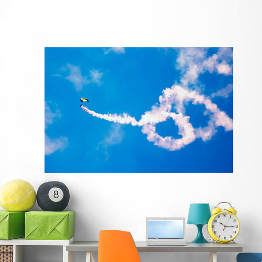 Us Navy Parachute Team Wall Decal