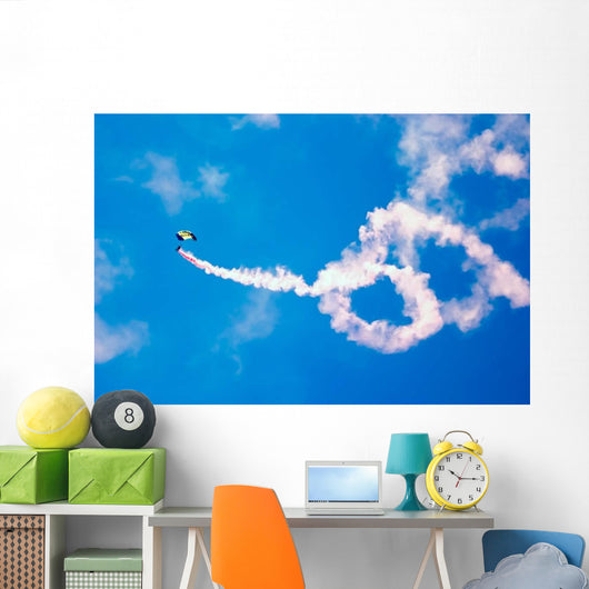 Us Navy Parachute Team Wall Decal