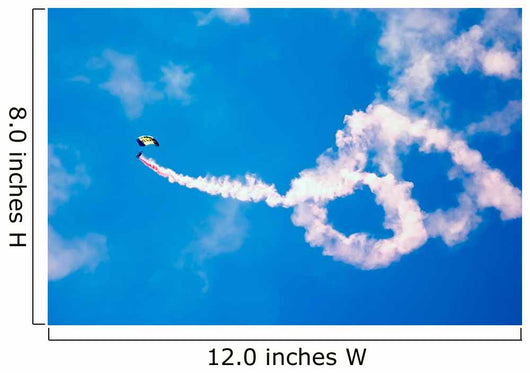 Us Navy Parachute Team Wall Decal