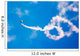 Us Navy Parachute Team Wall Decal