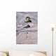 Pallets Roll out C-130 Wall Decal Design 1