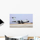 C-17 Globemaster Iii Lands Wall Decal