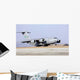 C-17 Globemaster Iii Lands Wall Decal
