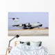 C-17 Globemaster Iii Lands Wall Decal