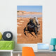 Soldier Patrols along Riverbed Wall Decal