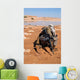 Soldier Patrols along Riverbed Wall Decal