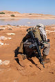 Soldier Patrols along Riverbed Wall Decal