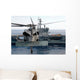 Mh-60s Seahawk Hovers Prior Wall Decal